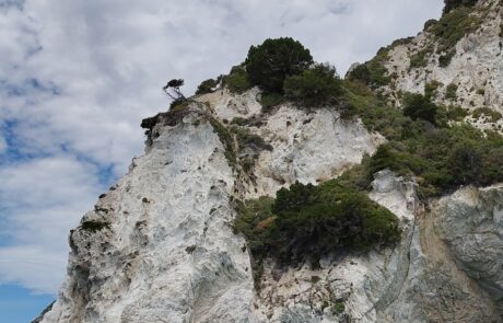 Boat view into a sea cave beneath green-topped white cliffs at Zakynthos