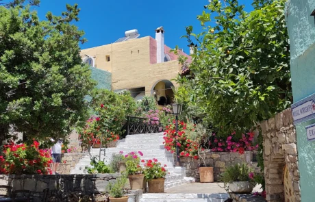 Outdoor taverna courtyard with tables, chairs and flowering plants at Arolithos village