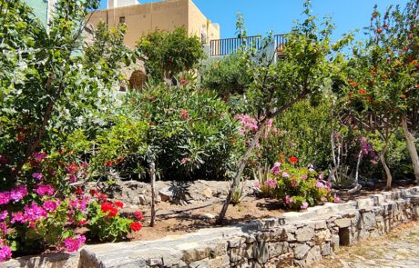 Stone stairway path lined with flowering bushes at Arolithos village