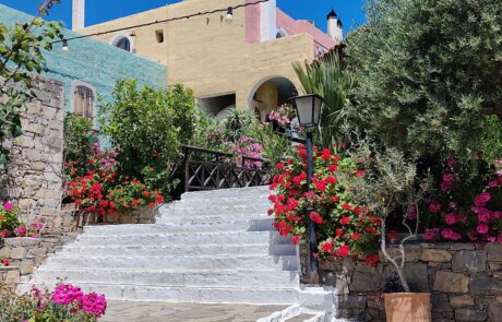 White stone stairway lined with flowering plants at Arolithos village