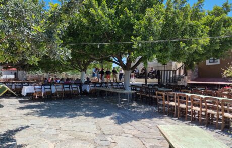 Outdoor taverna seating area under a large shade tree at Arolithos village