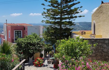 Wooden footbridge leading to a courtyard with pine tree and bougainvillea at Arolithos village