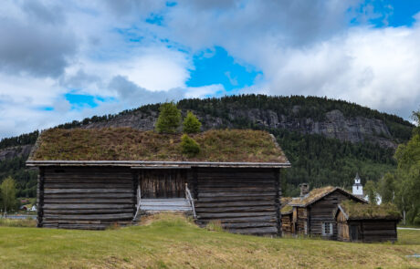 Open-air museum with old wooden grass-roof buildings in a green field