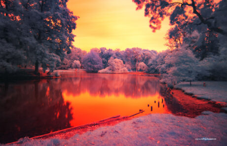 Infrared photograph of a park lake with fiery red-orange foliage reflected in the water, Luebeck Stadtpark