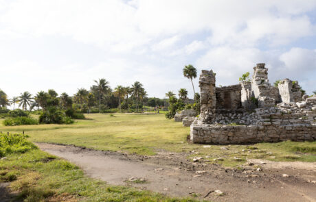Low stone ruin wall on an open grassy field, Tulum