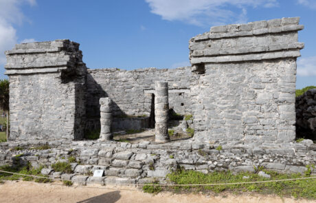 Stone ruins beside palm trees on a grassy field, Tulum