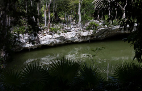 Jungle river lagoon with limestone rock formations and overhanging vegetation