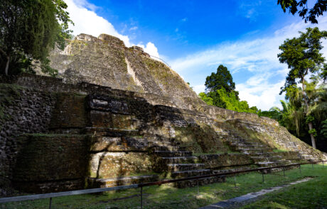 Wide view of a Mayan pyramid surrounded by jungle under a blue sky, Lamanai