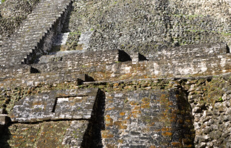 Close-up of weathered stone steps on a Mayan pyramid, Lamanai