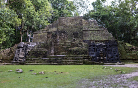 Mayan pyramid with a grassy forecourt surrounded by jungle, Lamanai